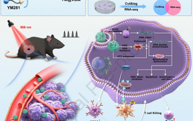 Biomaterials：利用Nano-PROTAC誘導的EZH2降解和免疫增強實現肉瘤治療