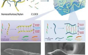 AFM：用于高分辨率垂直3D打印微結構的納米纖維素基油墨
