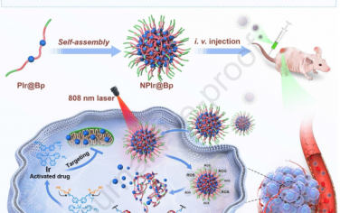Biomaterials：Ir(III) Bodipy聚合物Gemini納米粒子以用于近紅外光激活的腫瘤選擇性抗癌治療