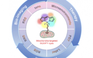 Chem. Soc. Rev.：線粒體靶向BODIPY染料用于小分子識(shí)別、生物成像和光動(dòng)力治療