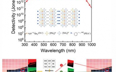 AFM：用于高保真圖像傳感和光通信的高性能準(zhǔn)2D Sn-Pb鈣鈦礦光電探測(cè)器