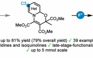 JACS：吡啶、異喹啉以惡嗪氮雜芳烴中間體實現間位選擇性C-H鍵氟化