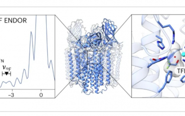 Nature Catalysis：產物類似物結合鑒定顆粒甲烷單加氧酶的銅活性位點