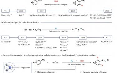 萊布尼茲催化研究所&西北工業(yè)大學(xué)&卡迪夫大學(xué)Nature Commun：磷修飾單原子鐵實(shí)現(xiàn)還原胺化-氘代串聯(lián)催化