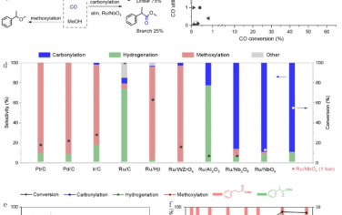 中科院化學所Nature Commun：Ru/NbOx實現溫和條件的烯烴烷氧基化羰基化