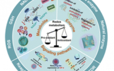 Chem. Soc. Rev.：基于納米材料的氧化還原代謝調(diào)節(jié)增強(qiáng)癌癥治療