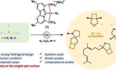以色列理工&北京大學(xué)JACS：強(qiáng)場(chǎng)Pincer配體修飾Co催化[2π+2π]環(huán)加成