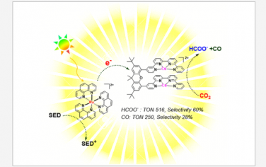 JACS：同雙金屬配合物的可見光驅動CO2還原。金屬間的協同作用與不同途徑的激活