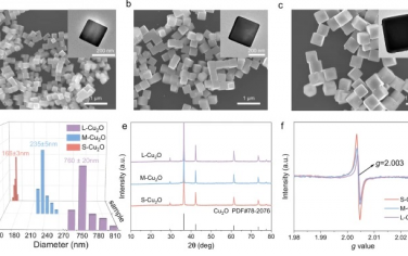 燕山大學(xué)&山西大學(xué)&南京林業(yè)大學(xué)Nature Commun：Cu0-Cu+協(xié)同電催化還原硝酸鹽合成氨