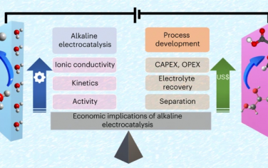 Nature Catalysis：堿性電催化體系合成羧酸的經(jīng)濟性探討