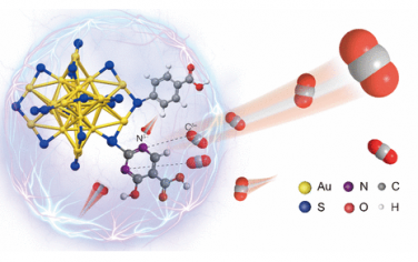 JACS：配體調控Au納米簇局部環境改善電催化還原CO2