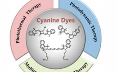 Chem. Soc. Rev.：菁染料在光療中的設(shè)計(jì)策略和應(yīng)用