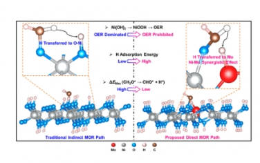 JACS：MoO3/Ni(OH)2 的直接電催化甲醇氧化：利用相鄰 Mo 和 Ni 的協(xié)同效應(yīng)