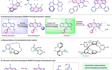 安徽師范大學Nature Commun：相轉移催化C-N鍵構筑手性硼中心BODIPY