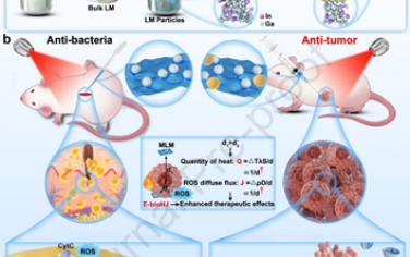 Biomaterials：外泌體修飾的生物異質結可減少熱量和ROS傳遞距離以增強抗菌和腫瘤治療