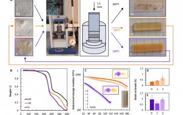 Science Advances：無水可循環(huán)聚電解質(zhì)復合材料的緩和離子鍵合