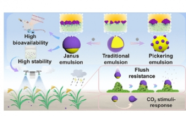 ACS Nano：鹽度驅動的生物兩親乳化劑界面自組裝形成穩定的 Janus 核殼乳液以增強農用化學品的輸送