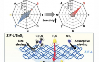 AFM：在SnS2納米片上原位生長(zhǎng)二維MOF作為分子篩層以實(shí)現(xiàn)選擇性H2S檢測(cè)