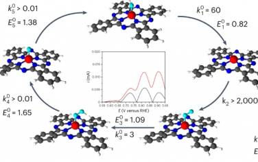 Nature Catalysis：通過瞬態(tài)電化學(xué)表征Fe-卟啉催化劑的ORR反應(yīng)動力學(xué)