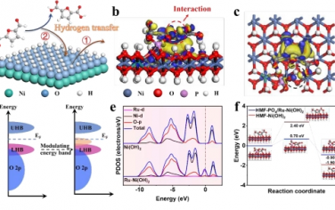 Energy Environ. Sci.質子轉移介體將生物質電氧化的電流密度提高到安培級
