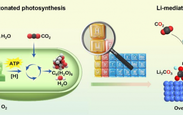 南京大學Angew：電化學CO2轉化為碳和氧氣