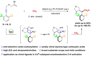 四川大學&四川師范Angew：Ni催化CO2對炔烴羰基化