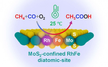 大連化物所JACS：MoS2限域Rh-Fe將甲烷轉化為乙酸