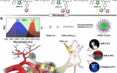 Angew：1064 nm激發(fā)的NIR-II光學診療分子用于原位乳腺癌的光熱治療