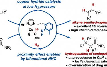 開姆尼茨工業(yè)大學(xué)JACS：雙功能咪唑吡啶配體實現(xiàn)Cu(I)催化炔烴半加氫和不飽和酰胺加氫