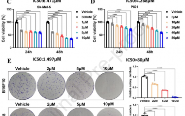 Biomaterials：依拉環素可通過AP1/CCL5介導的黑色素瘤M1巨噬細胞極化增強抗PD1免疫治療