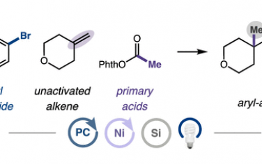 JACS：自由基調控實現烯烴的芳基化烷基化
