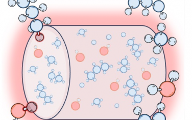 港中大&中科大&天津大學(xué)&南京大學(xué)Angew：水分子是丙烷脫氫反應(yīng)的催化劑