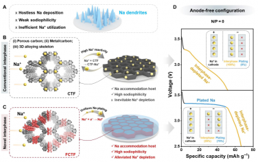Science Advances：氟化多孔框架可實現堅固的無陽極鈉金屬電池