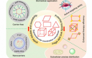 Chem. Soc. Rev.：生物醫學應用中金屬環/金屬籠基超分子配位復合物關鍵挑戰的解決策略