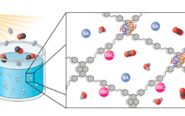 JACS：共價有機框架作為單中心光催化劑用于太陽能到燃料的轉化