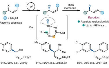牛津大學Nature Chem：烯丙基?；孜矧闲獙崿F立體選擇性Suzuki-Miyaura偶聯