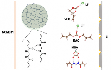 北京大學(xué)JACS：焓-熵調(diào)節(jié)策略發(fā)展固體聚合物電解質(zhì)