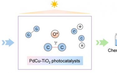 喬世璋JACS：PdCu-TiO2光催化聚酯選擇性轉化
