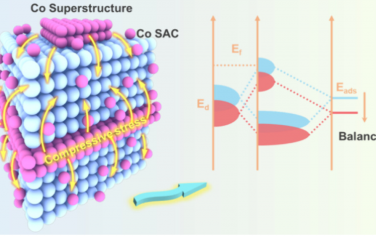 JACS：單原子修飾碳化鎢雙功能氧催化