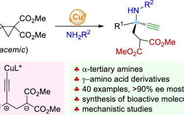JACS：Cu催化1,1,2,2-四取代環(huán)丙烷不對(duì)稱開環(huán)合成α-季碳有機(jī)胺