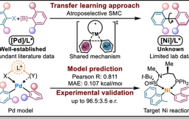 浙江大學(xué)JACS：遷移學(xué)習(xí)策略開發(fā)新型Ni催化劑