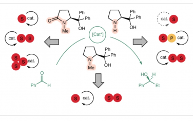 Nature Synthesis：手性脯氨酸配體介導鋅催化苯甲醛烷基化反應的催化體系差異