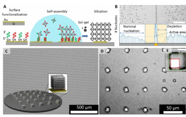 Science Advances：通過(guò) DNA 可編程組裝實(shí)現(xiàn)芯片集成 3D 納米結(jié)構(gòu)電子器件的可擴(kuò)展制造