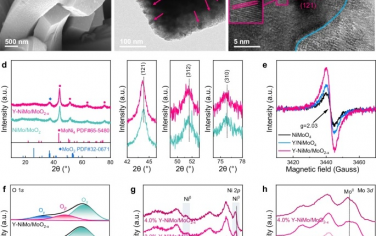華中科技大學&澳洲新南威爾士大學Nature Commun：Y摻雜NiMo異質結電催化電解海水制氫