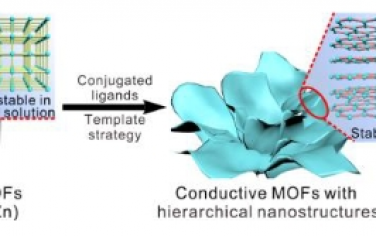 Angew：用于超級電容器和化學電阻傳感器的絕緣 MOF 前驅體納米結構導電 MOF 的一般合成