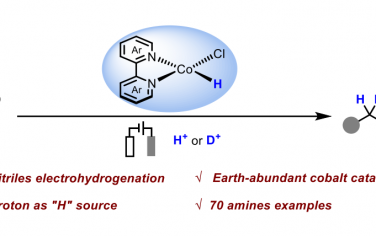 湖南大學(xué)Angew：Co電催化氰化物還原胺偶聯(lián)