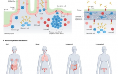 Nature Reviews Materials：工程材料在黏膜疫苗接種策略中的作用