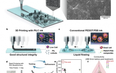 Nat Commun：可 3D 打印且生物相容的 PEDOT:PSS 高導電性離子液體膠體可用于快速按需制造 3D 生物電子器件