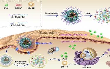 ACS Nano：TME激活的納米顆粒可介導免疫基因治療和M2巨噬細胞靶向抑制以實現協同的癌癥免疫治療
