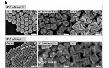 Nature Materials：用生成元胞自動機研究金的手性形態(tài)構建